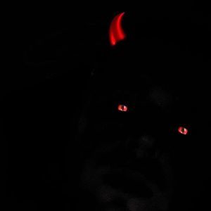 Meet your Posher, Tyrone